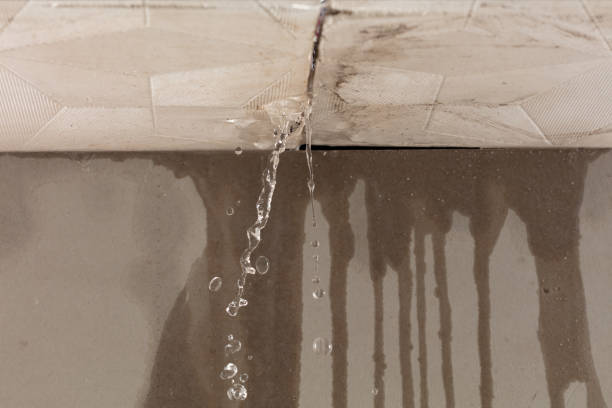 Professional Burst Pipe Cleanup technician working in Pinconning, MI